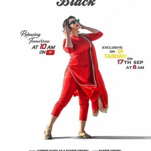 Meet your Posher, Harleen